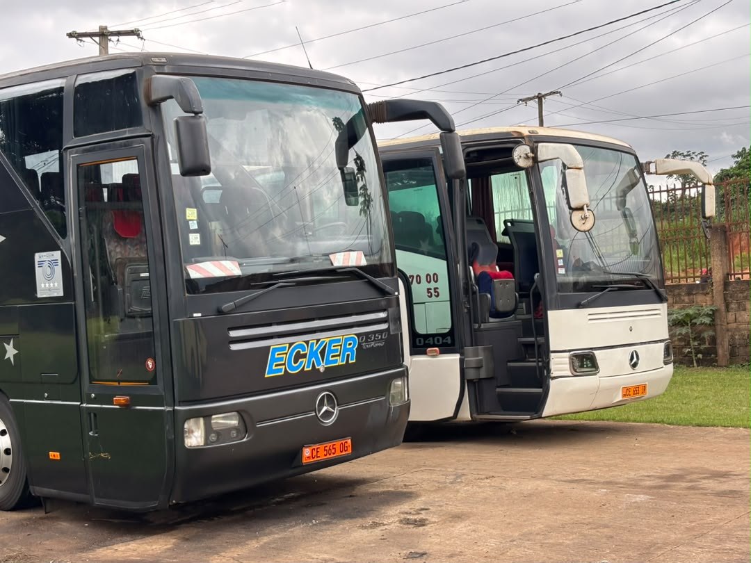 Deux bus MA NAVETTE A&Eacute;ROPORTUAIRE